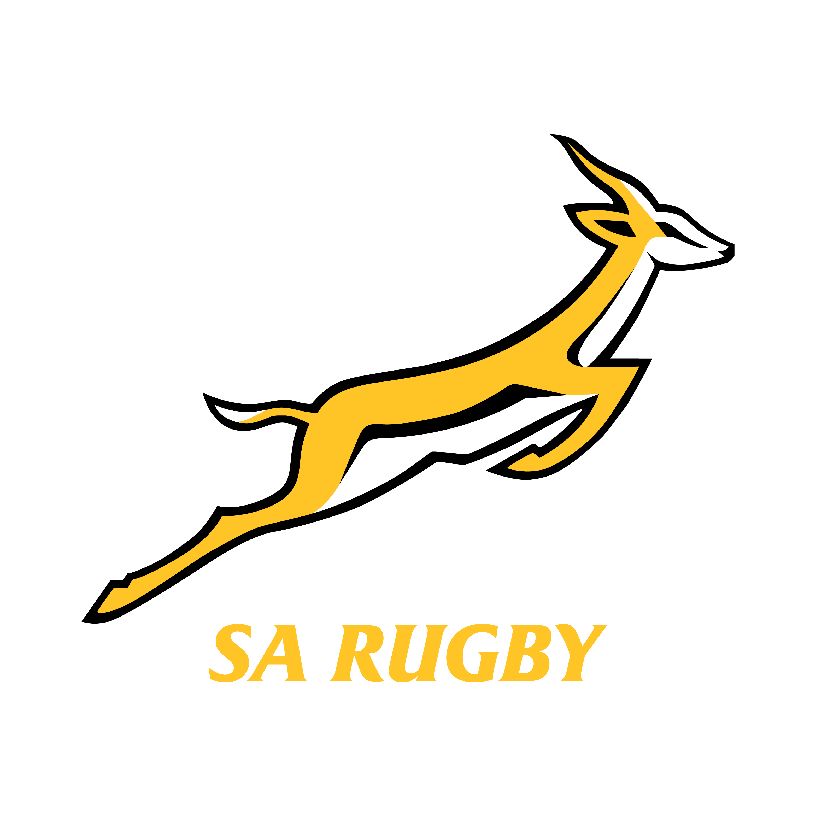 Springbok Footer Logo