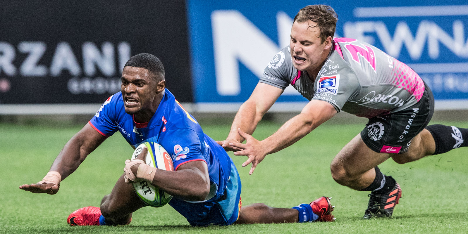 download stormers rugby news 24 download stormers rugby news 24