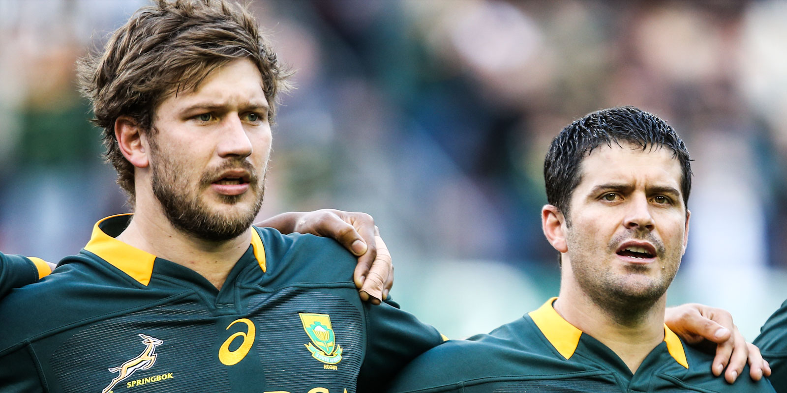 Frans and Morne Steyn are in line to face the British & Irish Lions again.