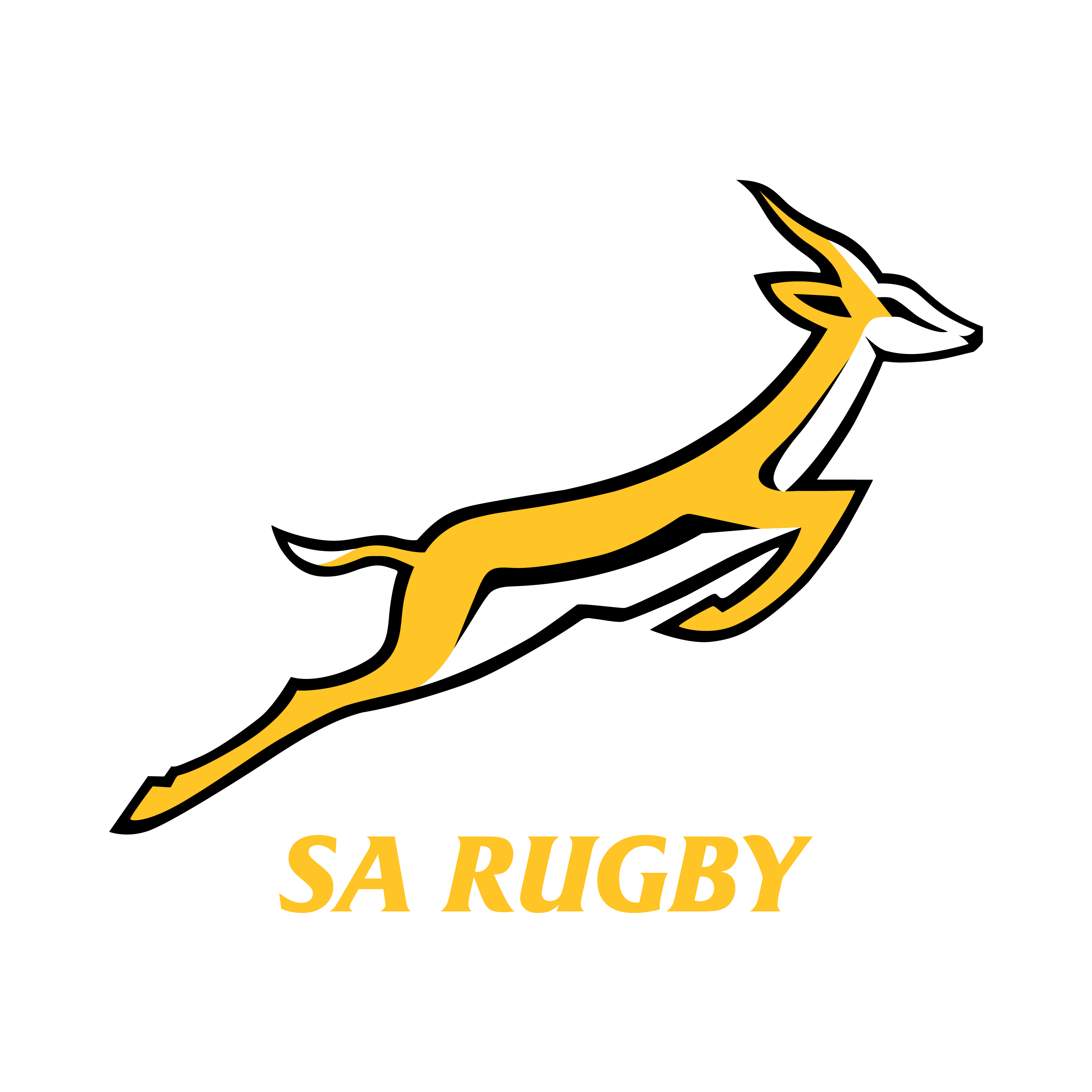 springboks store