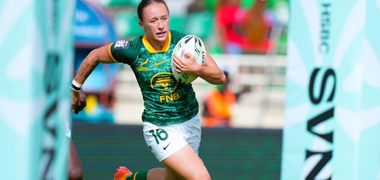 Springbok-themed imagery